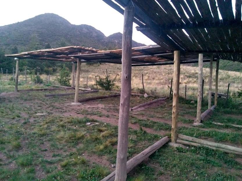 El Pinar En La Ventana -