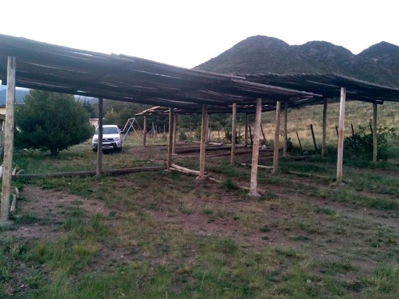 El Pinar En La Ventana - *