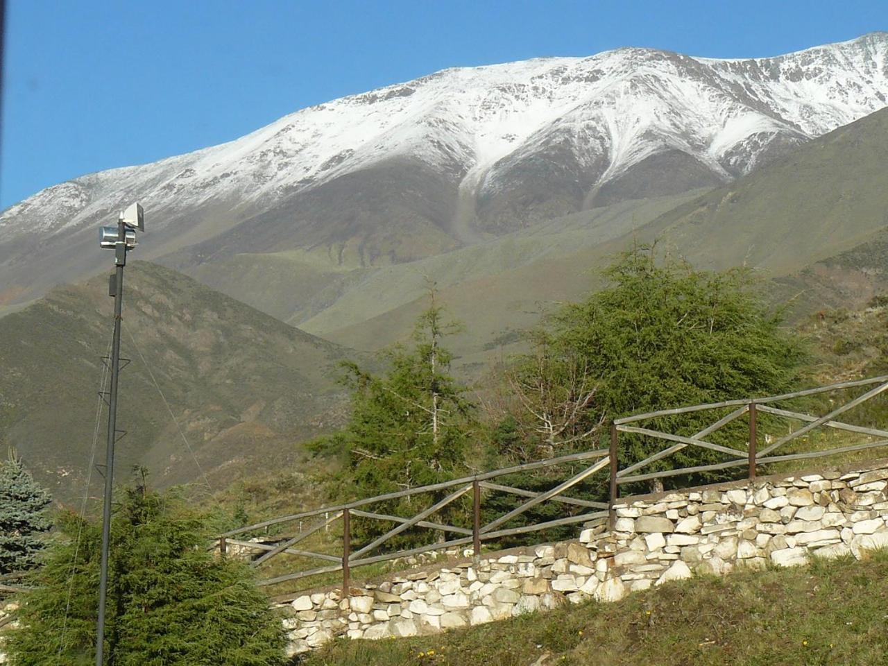 El Pinar En La Ventana -