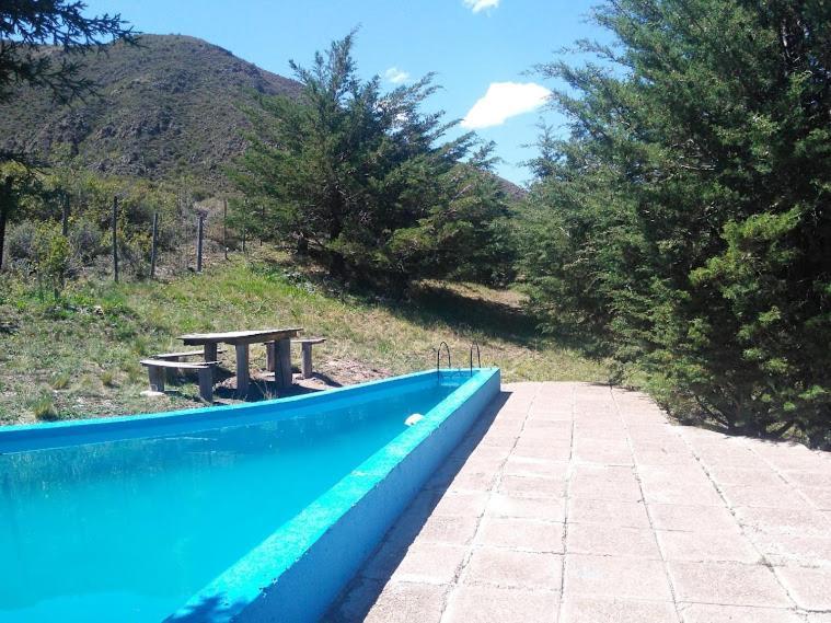 El Pinar En La Ventana -