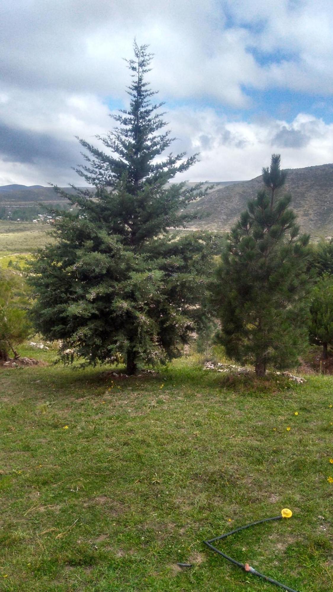 El Pinar En La Ventana - Chalet Potrerillos